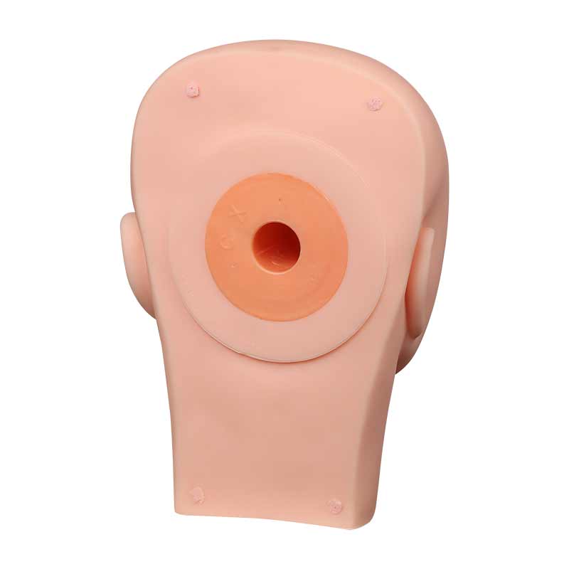 Тренировочный манекен для Перманентного макияжа